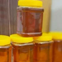 عسل گون|خوردنی و آشامیدنی|مشهد, بهشت|دیوار