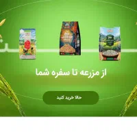 طراحی سایت سازگار با نت ملی