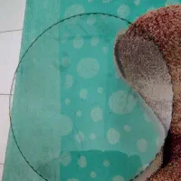 میز ناهار خوری