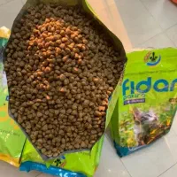 غذای گربه