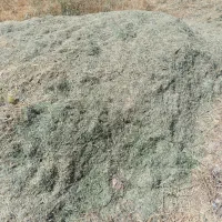 یونجه درجه یک