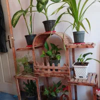 گلها با پایه