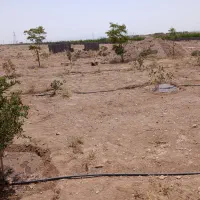 فروش-زمین