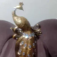 طاوس|مجسمه، تندیس، ماکت|تهران, افسریه شمالی|دیوار