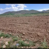 زمین حاجی آباد