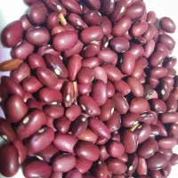 انواع حبوبات .ترشی .وغیره