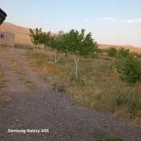 باغ فروشی ۳ هکتار با استخر