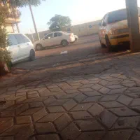 سگ گمشده