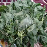 چواش، تخم مرغ،نیم دانه ی هاشمی