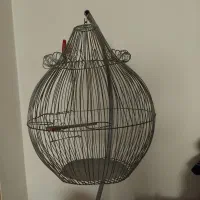 قفس پرنده