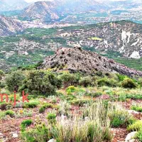 یک-قطعه-زمین-مسکونی-واقع-در-محله-سنگان-کوچه-چشمه