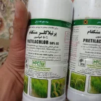 برنج|خدمات باغبانی و درختکاری|خرم‌آباد, |دیوار