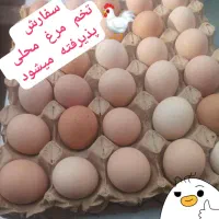 تخم مرغ محلی
