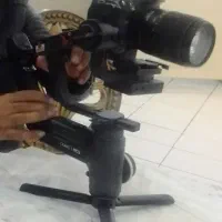 کرین تری سالم