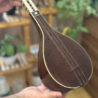 سه تار کلکسیونی خسرو گلشنی