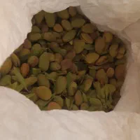 بادوم بادام