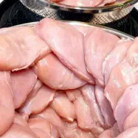 شینسل بوقلمون عمده
