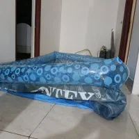استخربزرگ آبی ارتفاع یک متر