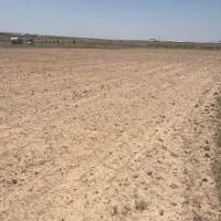 فروش زمین کشاورزی سندتک برگ
