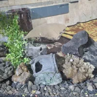 اکواریوم