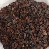 کشمش آفتابی سورت لیزر بدون حتی یه دونه سوک