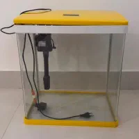 آکواریم دلسا