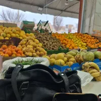 نیرو برای میوه فروشی