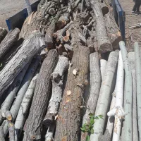 خرید و فروش انواع چوب