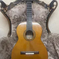 دو عدد گیتار مرحوم سیاوش طهماسبی