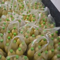 آبلیمو آبغوره درجه یک و خالص
