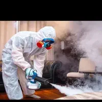 سمپاشی سوسک ساس دریک مرحله صدرصد تضمینی