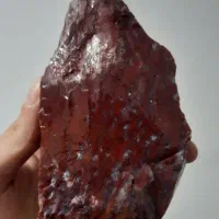 یک قطعه شجر سرخ شعله ای