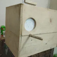 لانه چوبی طوطی ملنگو راهب گرینچیک‌