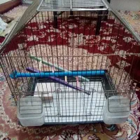 قفس پرنده