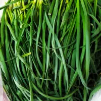سیرموک|خوردنی و آشامیدنی|شیراز, داریون|دیوار