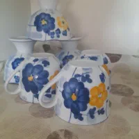 ظروف گل پنبه ای