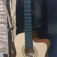گیتار مانها