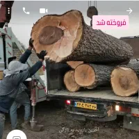 خریدو فروش چوب