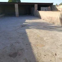 اجازه-گاوداری