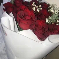 شادگان