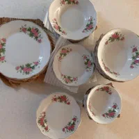 ظرف گل سرخ نو نو اب نخورده