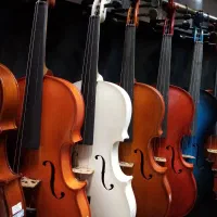 ویولن مبتدی تا حرفه ای گالری موسیقی آرتیا