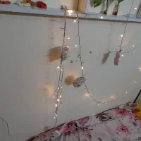 ریسه زیبا نو