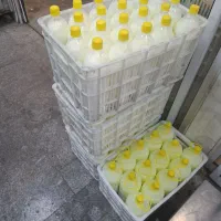 آماده همکاری با لبنیاتی ها