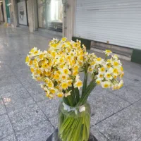 قطعه-32-خیابان-24