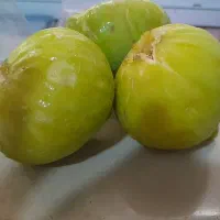 انجیر