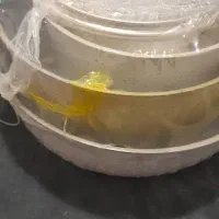 قابلمه طرح گرانیتی