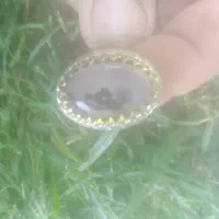 انگشتر شجر تک درخت نقره