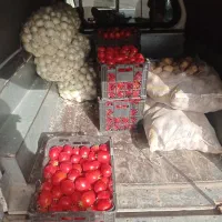 تره بار امروز پنج شنبه