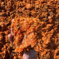 تفاله گوجه بدون رطوبت